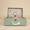 Knuffel leonie de giraf cadeaudoos