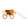 Piccolo piede - Trekcavia di legno