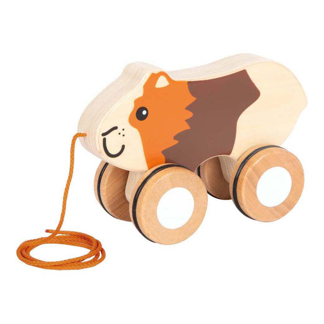 Piccolo piede - Trekcavia di legno