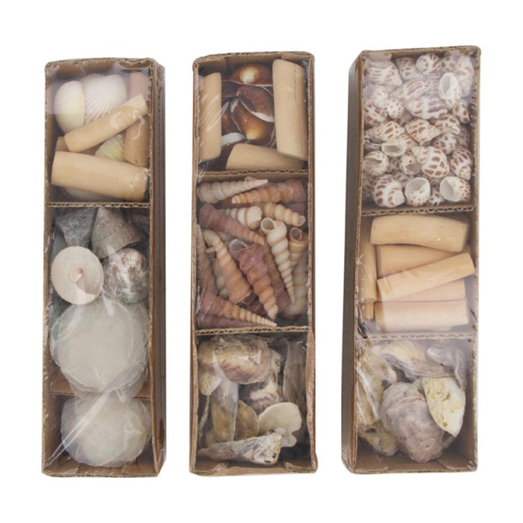 Dijk natural collections conchas en bandeja 28x8x8cm