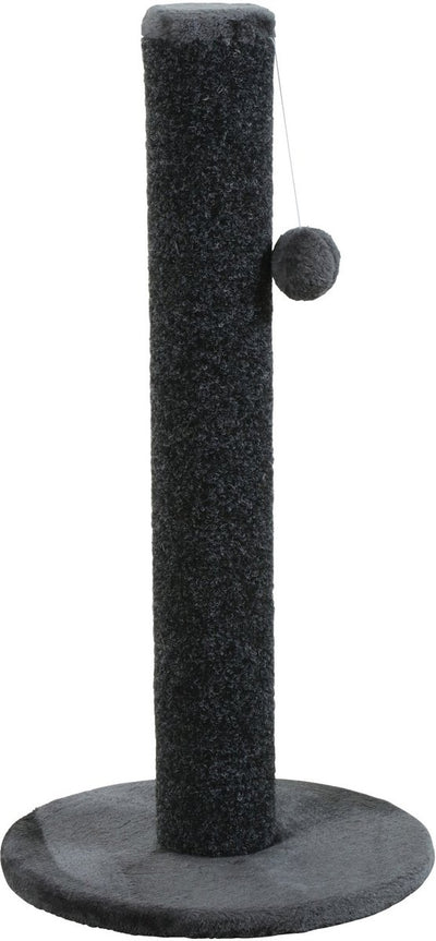 Zolux Oliver gratta grigio scuro