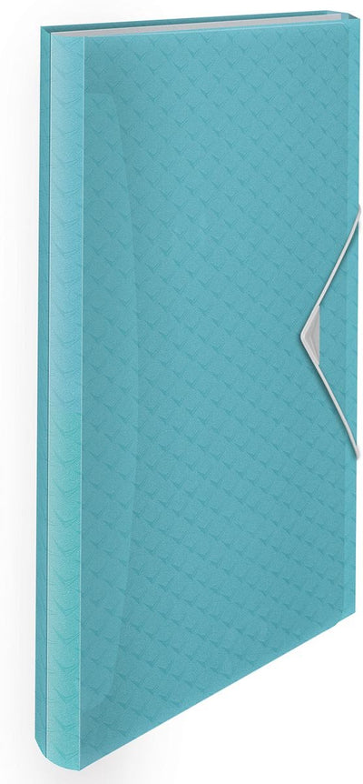 Cartella progetti espandibile Esselte Colour'breeze A4 - organizer con 5 schede e 6 scomparti - blu