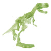 Glow in the Dark T-Rex Scavation Set
