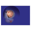 Simba disney knuffel winnie de poeh glow in the dark