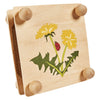 Eichhorn outdoor bladeren en bloemenpers knutselset