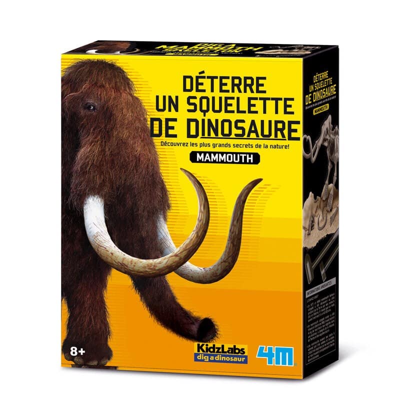 4m Scava il tuo dinosauro sui Mammoet Kidzlabs