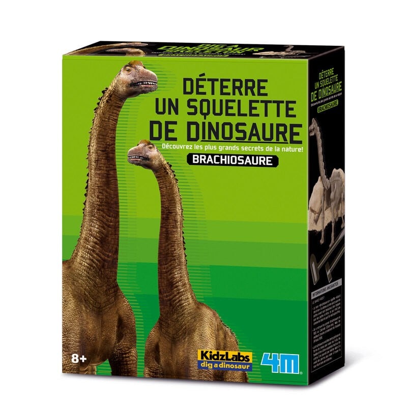 4m scava il tuo dinosauro sul t rex kidzlabs