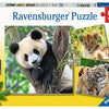 Ravensburger puzzel panda, tijger en leeuw, 3x49st.