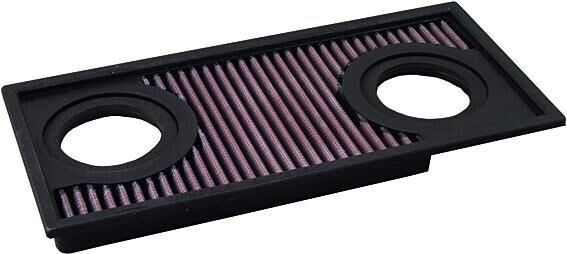 Filtro di sostituzione del DNA PEPLAC. Filtro dell'aria nero