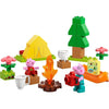 LEGO DUPLO 10452 PACGGIO PACCO PACCHI