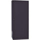 Roldeurkast hoog staal 80x43x198cm zwart 4 legborden