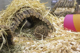 Happy Pet Playball willow - afbeelding 2