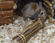 Nature first happy pet willow sticks - afbeelding 2