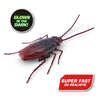 Zuru Robo Alive Clollaach Series 2 Glow In the Dark