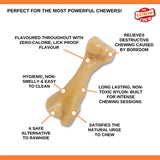 Nylabone power chew hard bijters chicken taste - afbeelding 2