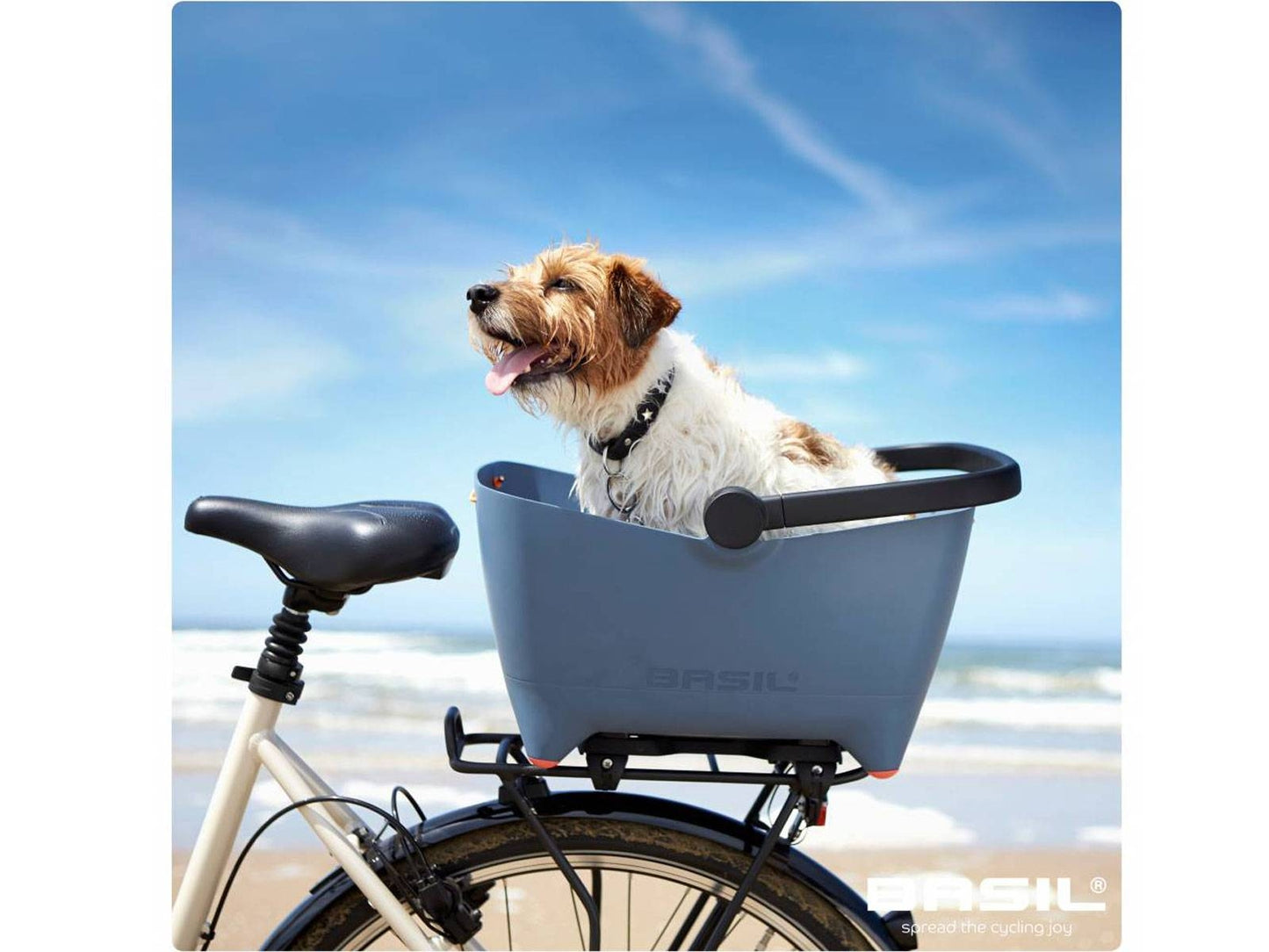 Basil Buddy Mik - Canasta de bicicletas para perros - Azul