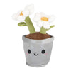 Piante peluche di pluhiez grandi 35 cm 3 assorti