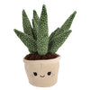 Piante di peluche Pluchiez 3 assortite | 3 pezzi