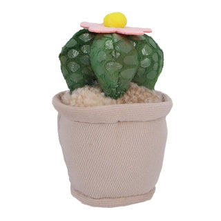 Pluchiez Plush plants 15 cm assorti