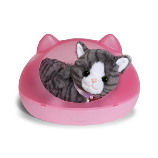 Baby born my cat cookie with box