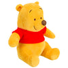 Disney Winnie the Pooh Plush Winnie