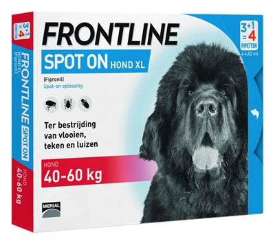 Spot del cane in prima linea su XL