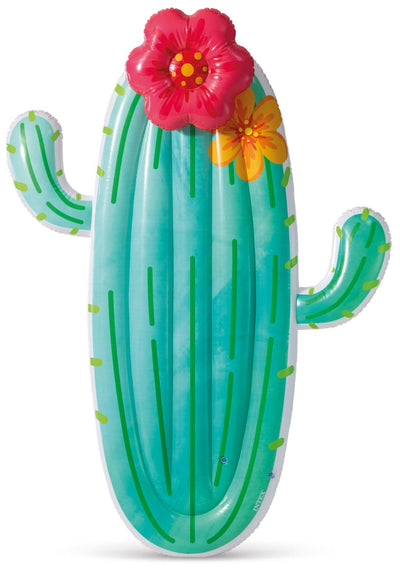 Airbeo di cactus intex