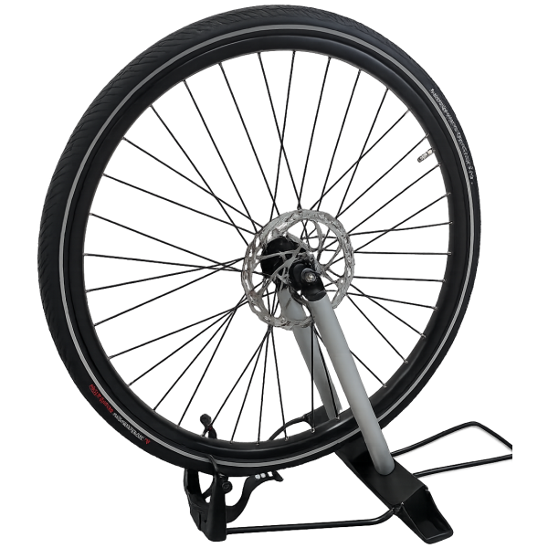 Ruedas de borde wielrichter xpert 12 't m 29' '
