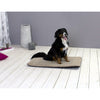 Sun Garden Sun Garden Malu Malu Dog Dress 68x54x5cm Gray