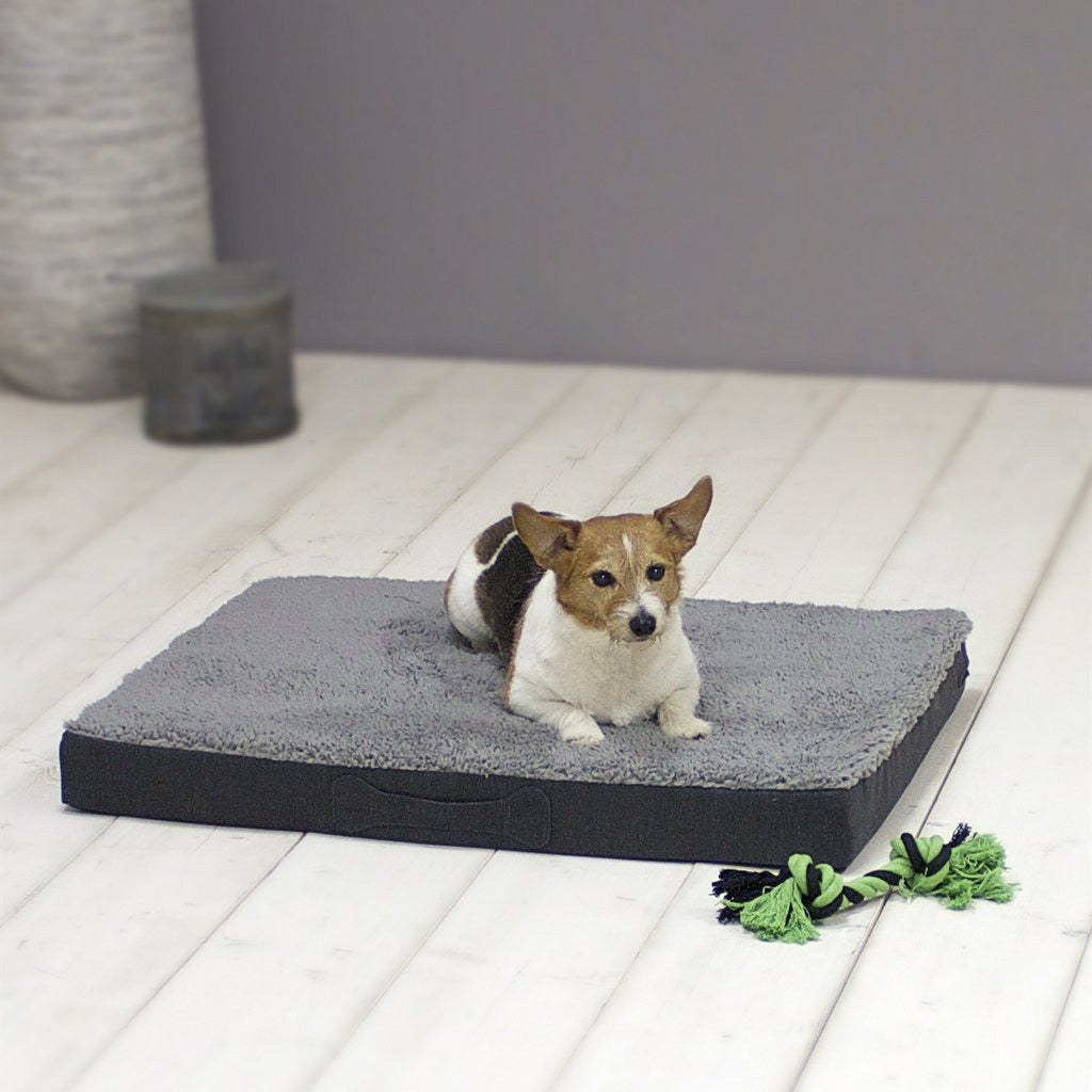 Sun Garden Sun Garden Buddy Orthopedic Dog Cushion 72x50x8cm Antracita gris