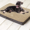 Sun Garden Sun Garden Buddy Orthopedic Dog Cushion 120x72x10cm beige donkerbuin