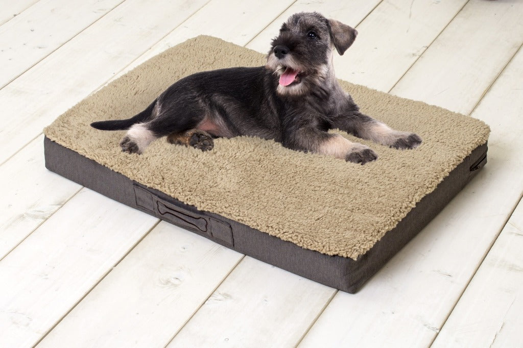 Sun Garden Sun Garden Buddy Orthopedic Dog Cushion 140x100x10cm beige donkerbuin