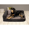 Sun Garden Garden Garden Palina Palina Ortopédica Cushion 80x60x25 cm Beige marrón