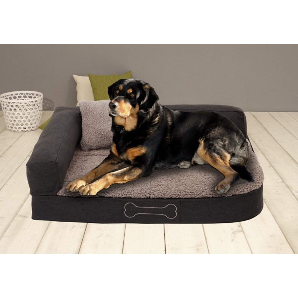 Sun Garden Garden Garden Palina Palina Ortopédica Cushion 80x60x25 cm Beige marrón