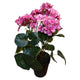 Mansión atmósfera planta artificial pelargonium rosa 42cm