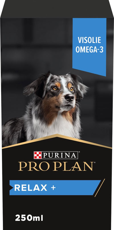 plan profesional