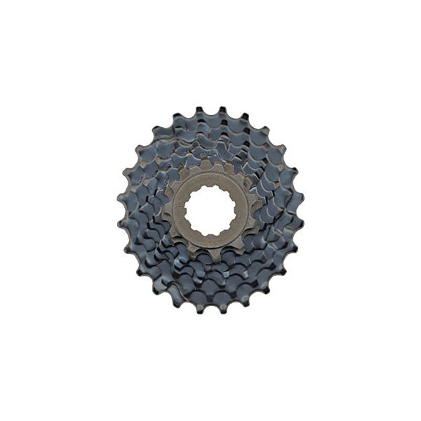 Shimano Altus CS-HG31 Negro 11-32 8 Velocidad