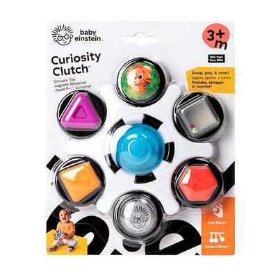 Curiosity clutch sensory toy