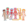 Puzzle magnetico del corpo umano Hape - 63 pezzi.