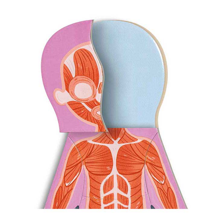 Puzzle magnetico del corpo umano Hape - 63 pezzi.