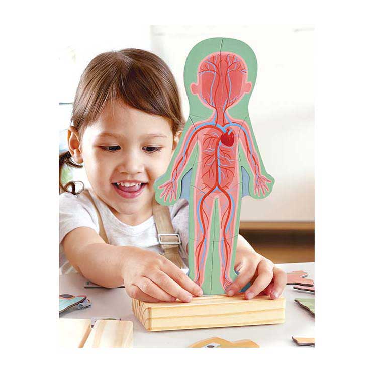 Puzzle magnetico del corpo umano Hape - 63 pezzi.