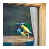 Comedero para pájaros Hape