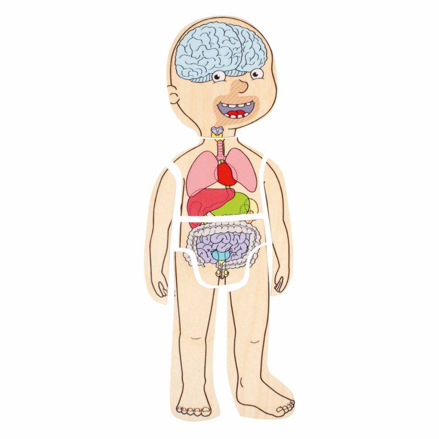 Beleduc puzzle a strati in legno ragazzo - 5 strati