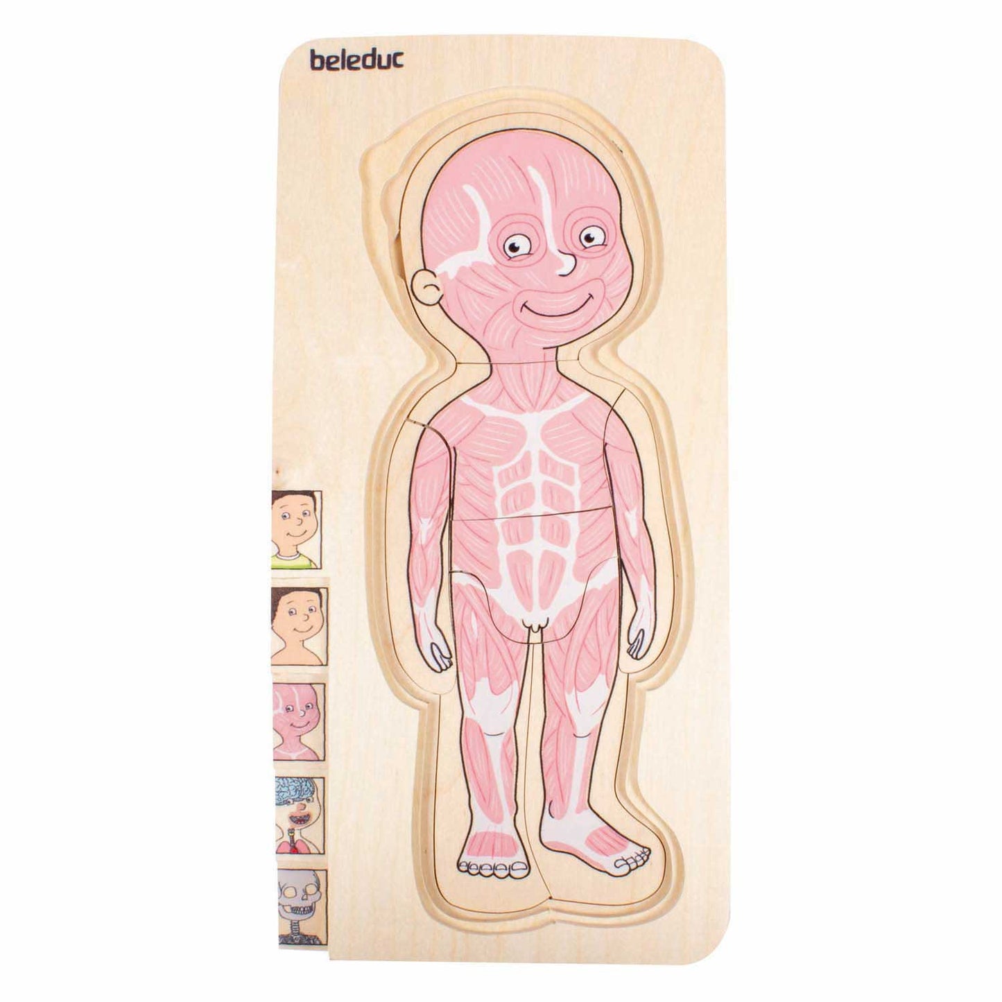 Beleduc puzzle a strati in legno ragazzo - 5 strati