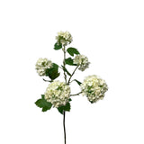Roberts collection kunstbloem snowball spray 83cm creme - afbeelding 1