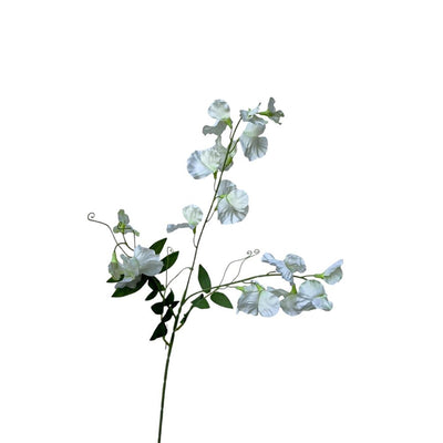 Collezione Roberts fiore artificiale pisello odoroso spray 76 cm bianco