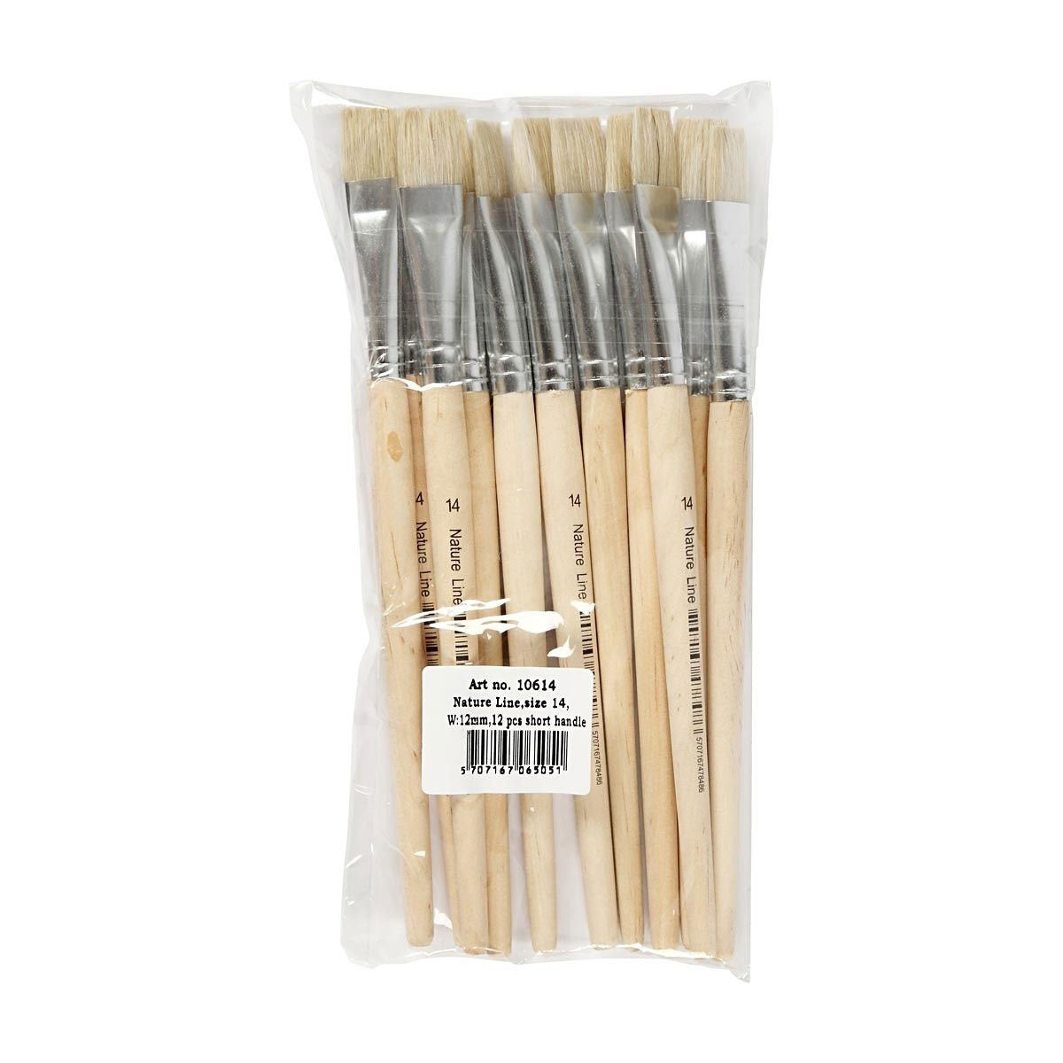 Creativ company nature line kwasten, afm 14, l: 20 cm, b: 15 mm, plat, 12 stuk 1 doos