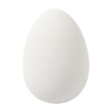 Huevos de ganso blanco, 8st. - afbeelding 2
