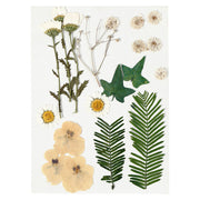 Creativ company gedroogde bloemen en bladeren off-white, 19dlg. - afbeelding 1
