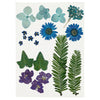 Fiori e foglie secchi blu, 19dlg.